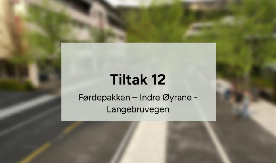 Tiltak 12